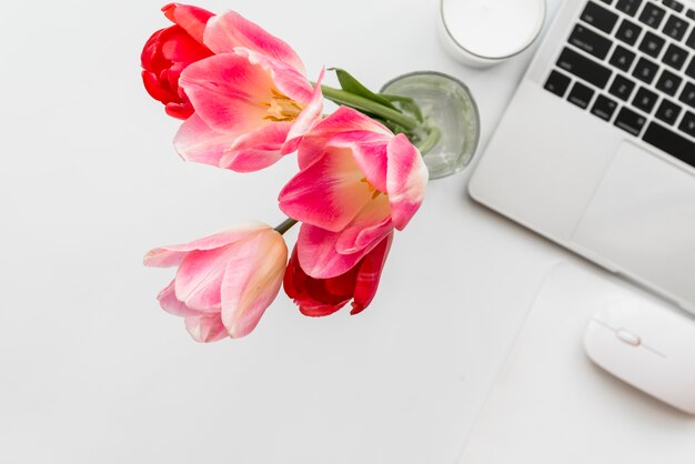 Tulpen und Laptop auf weißer Tabelle