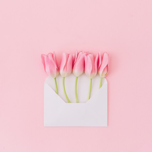 Tulpenblumen im Umschlag auf Tabelle