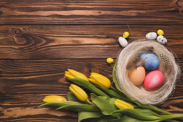 Tulpenblumenstrauß nahe Nest