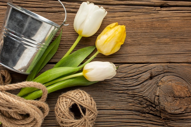 Kostenloses Foto tulpenstrauß mit seil und eimer