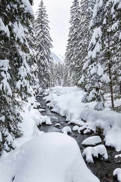 Turbulente Stromschnellen im malerischen Wald im Winter. Magische Landschaft