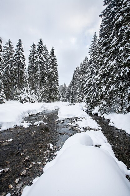 Turbulente Stromschnellen im malerischen Wald im Winter. Magische Landschaft