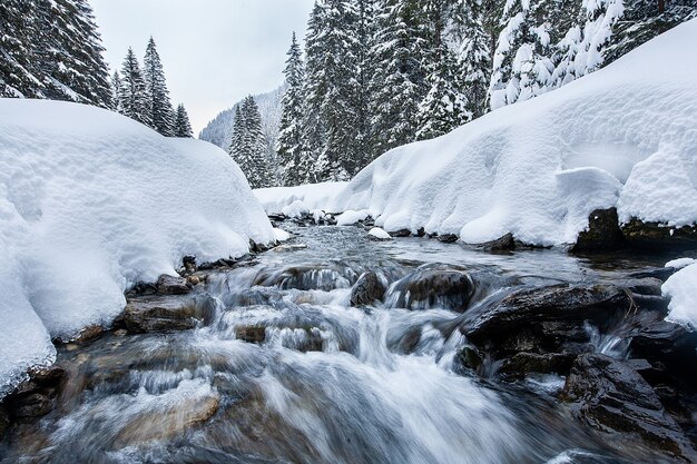 Turbulente Stromschnellen im malerischen Wald im Winter. Magische Landschaft