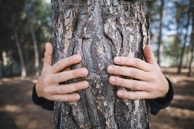 Umfassender Baum der anonymen Person