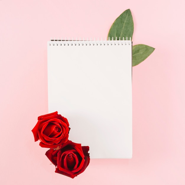 Unbelegter gewundener Notizblock verziert mit roten Rosen auf rosa Hintergrund