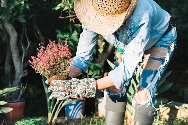 Unerkennbare Frau, die eingemachte Blume im Garten hält