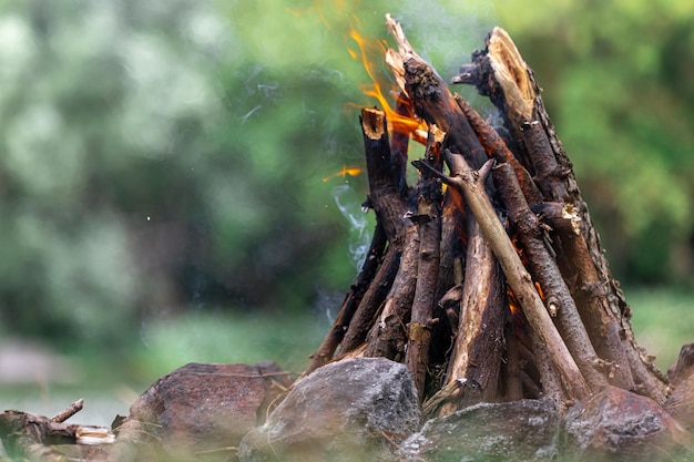 Kostenloses Foto ungebranntes lagerfeuer mit baumzweigen im waldkopierraum