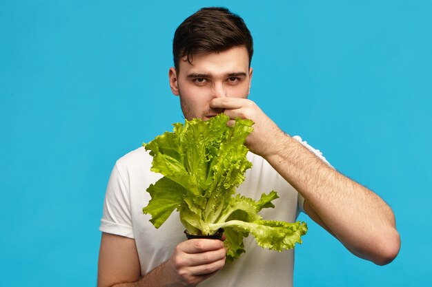 Unglücklicher frustrierter junger Mann, der isoliert mit einem Haufen Salat posiert, seine Nase kneift und die Stirn runzelt, angewiderten Gesichtsausdruck hat, Gemüse hasst und sich streng vegetarisch ernährt