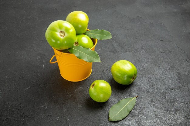 Unteransicht Eimer mit grünen Tomaten und Lorbeerblättern und Tomaten auf dunklem Hintergrund