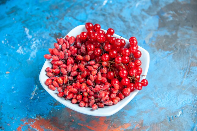 Unteransicht Johannisbeeren und Berberitzen in weißer Platte auf blau-rotem Tisch