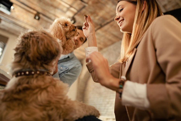 Untere Ansicht einer Geschäftsfrau, die Spaß mit ihrem Hund hat, während sie ihm Tricks im Büro beibringt