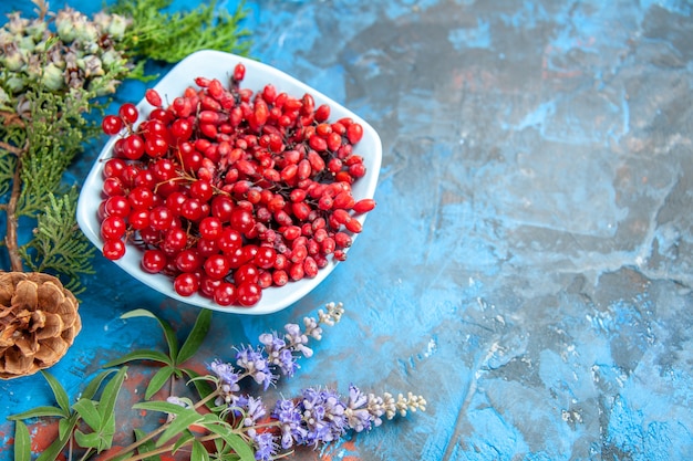 Untersicht Johannisbeeren und Berberitzen in Schalen Kiefernzweig auf blauem Tisch Freiraum