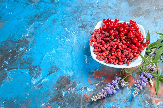 Untersicht Johannisbeeren und Berberitzen in weißem Teller lila Blumenzweig auf blauem Tisch mit Kopierraum