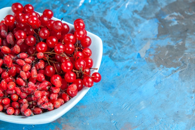 Untersicht Johannisbeeren und Berberitzen in weißer Platte auf blauem Tisch mit Kopierraum