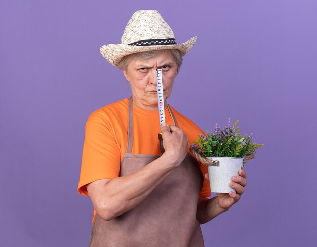 Unzufriedene ältere Gärtnerin mit Gartenhut mit Blumentopf und Maßband isoliert auf lila Wand mit Kopierraum