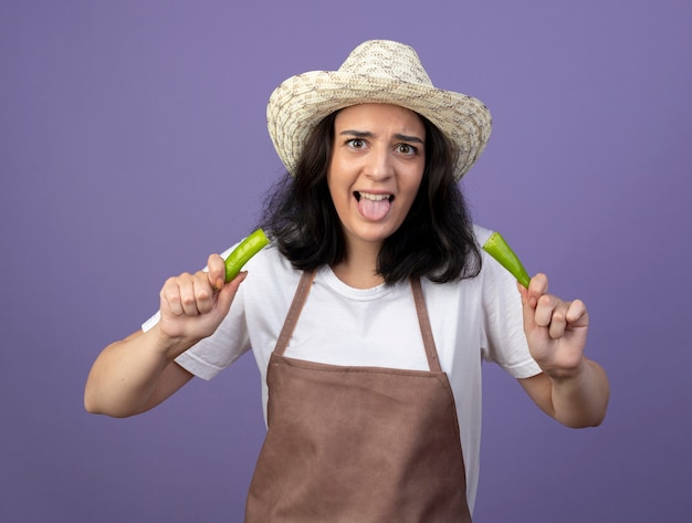 Unzufriedene junge Brünette Gärtnerin in Uniform mit Gartenhut steckt Zunge heraus und hält die Hälfte der Paprika auf lila Wand isoliert