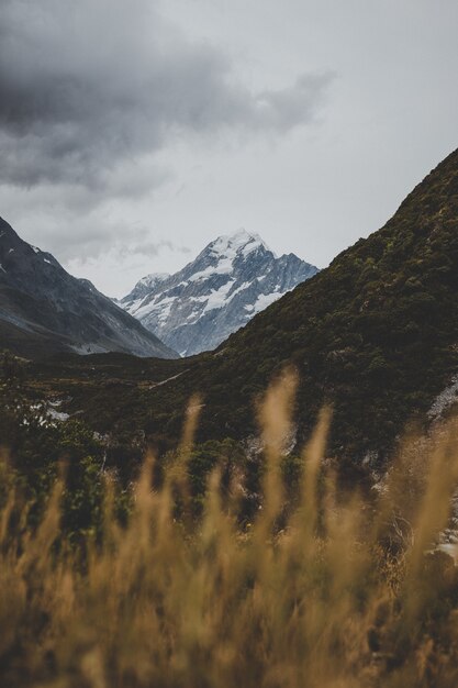 Valley Track mit Blick auf Mount Cook in Neuseeland