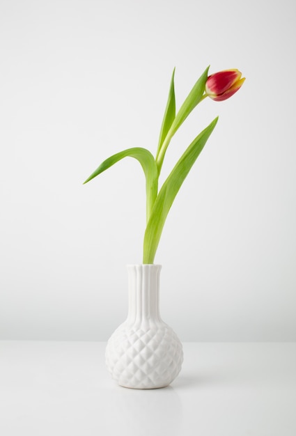 Vase mit Tulpe auf dem Schreibtisch