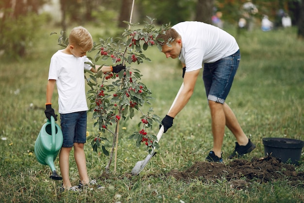 Vater mit kleinem Sohn pflanzen einen Baum auf einem Yard