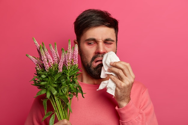 Verärgerter unzufriedener bärtiger Mann schaut auf Pflanze, die allergische Reaktionen hervorruft, reibt und putzt Nase mit Taschentuch, posiert gegen rosa Wand. Saisonale Allergie, Symptome und Krankheitskonzept