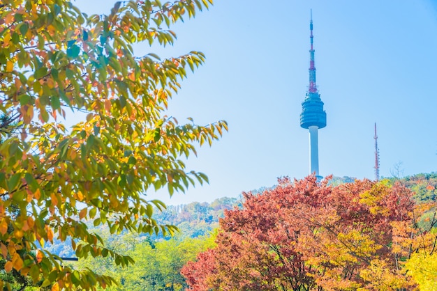 Kostenloses Foto verlässt stadtbild ahorn turm bauen