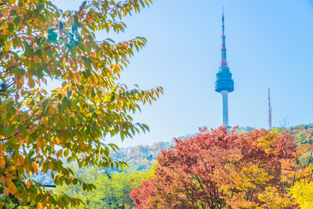 verlässt Stadtbild Ahorn Turm bauen