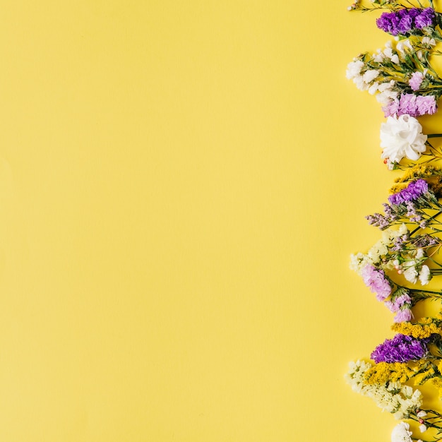 Kostenloses Foto verschiedene blumen auf gelbem hintergrund