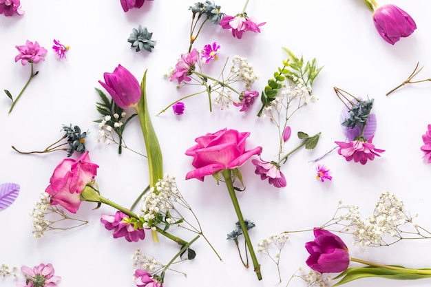 Kostenloses Foto verschiedene blumen auf leuchttisch verstreut