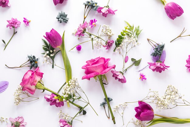 Verschiedene Blumen auf Leuchttisch verstreut