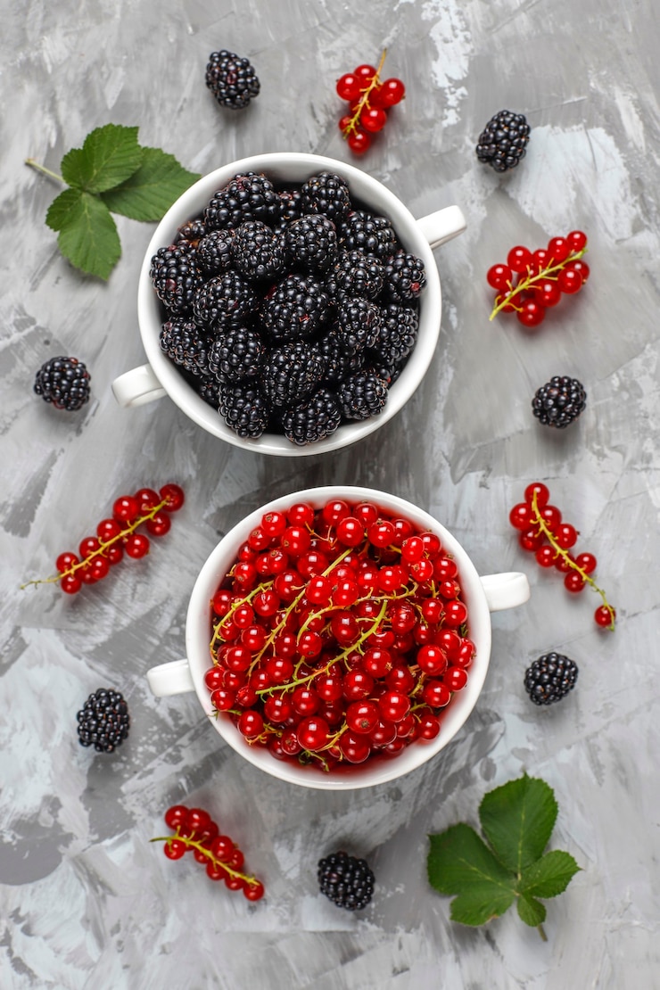 Kostenlose Foto verschiedene frische sommerbeeren, blaubeeren, rote johannisbeeren, erdbeeren, brombeeren, draufsicht.