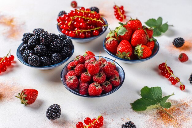 Verschiedene frische Sommerbeeren, Blaubeeren, rote Johannisbeeren, Erdbeeren, Brombeeren