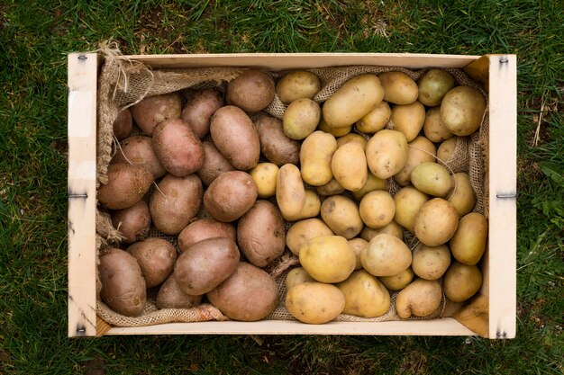 Verschiedene Kartoffeln in Holzkiste