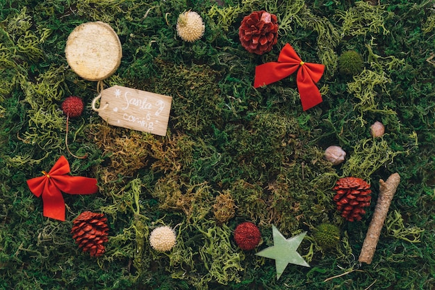 Kostenloses Foto verschiedene weihnachtselemente auf grünem gras