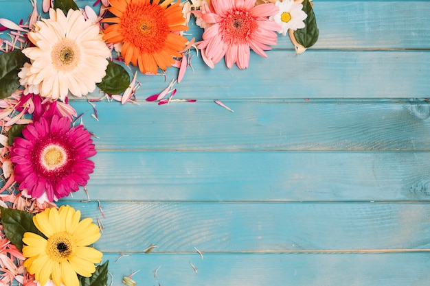 Verschiedenfarbige Blüten mit Blättern und Blüten