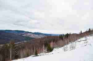 Kostenloses Foto verschneite bergtäler in den karpaten blick auf die ukrainischen karpaten und yaremche von der spitze von makovitsa