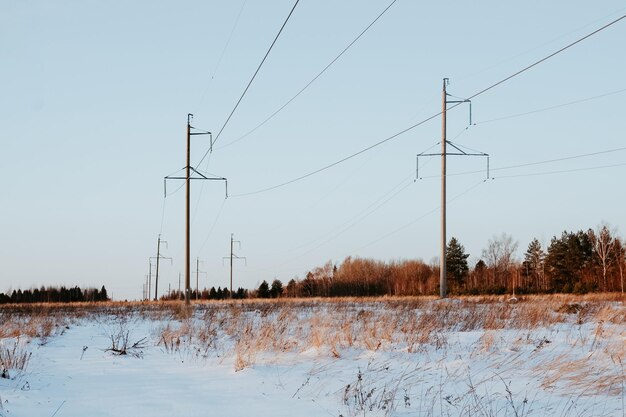 Verschneites Feld mit Bäumen und Stromleitungen an einem Wintertag