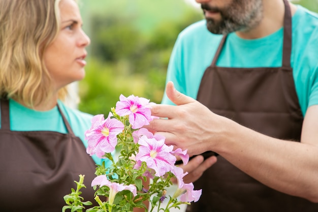 Verschwommene Gärtner, die über Petunienblüten sprechen