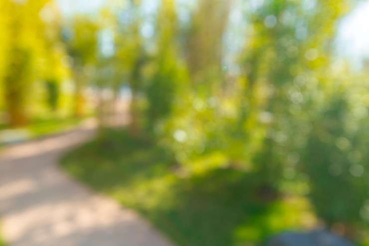 Kostenlose Foto verschwommene sicht auf den park