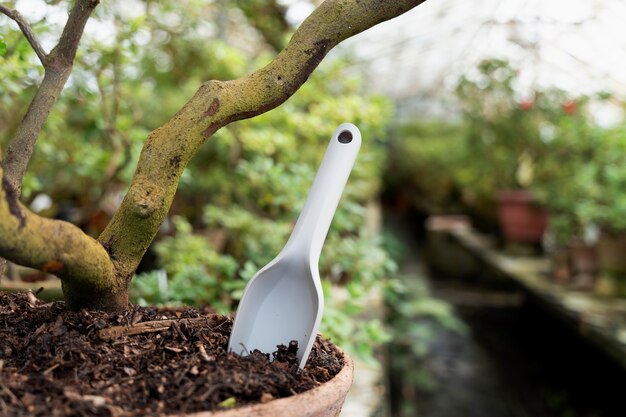 Verschwommenes Gewächshaus mit Werkzeug im Blumentopf