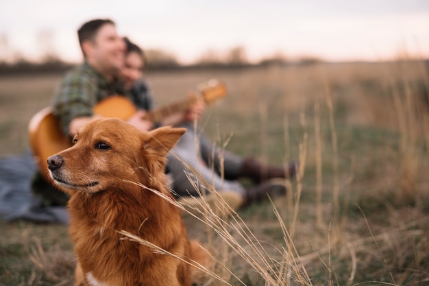 Verschwommenes Paar mit Hund