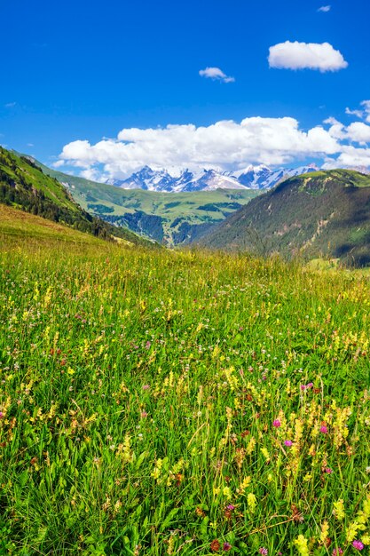 Vertikale Ansicht der französischen Alpen im Sommer