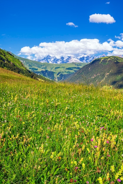 Vertikale Ansicht der französischen Alpen im Sommer