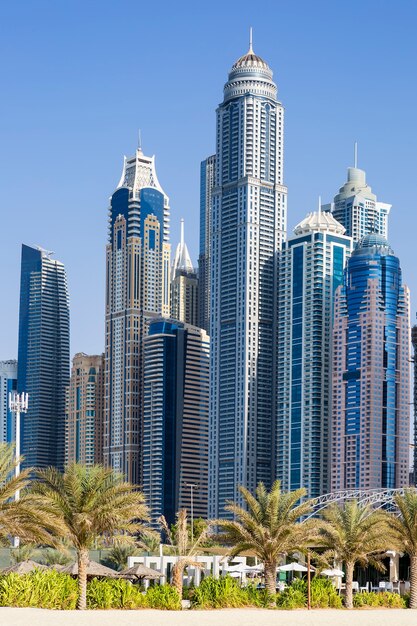 Vertikale Ansicht von Wolkenkratzern und Palmen in Dubai. VAE