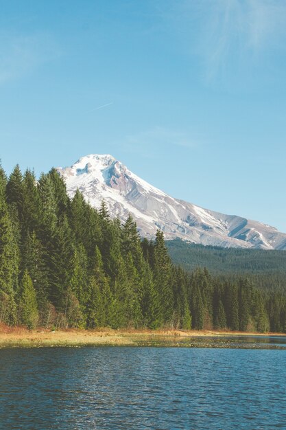 Vertikale Aufnahme der faszinierenden Landschaft am See mit dem schneebedeckten Berg in der Oberfläche