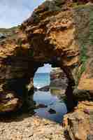 Kostenloses Foto vertikale aufnahme der grotte in peterborough, australien