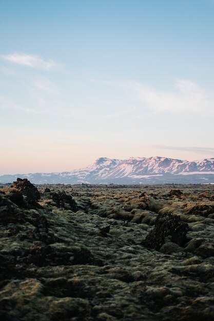 Vertikale Aufnahme der Landtexturen in Island mit einem schneebedeckten Berg im Hintergrund