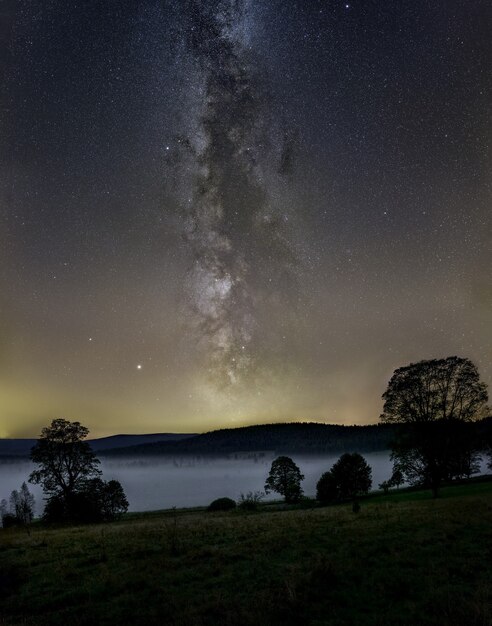 Vertikale Aufnahme der Milchstraße am Himmel über einem Wald