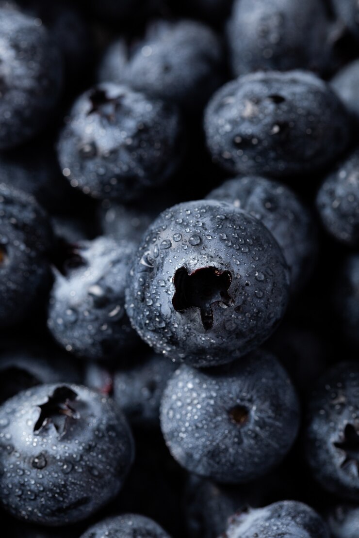 Kostenlose Foto vertikale aufnahme der nahaufnahme von blaubeeren mit wassertropfen