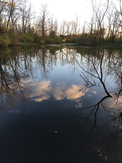 Vertikale Aufnahme der Reflexion der Bäume und des bewölkten Himmels in einem schönen ruhigen See