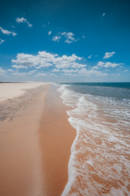 Vertikale Aufnahme der schaumigen Wellen, die zum Sandstrand unter dem schönen blauen Himmel kommen